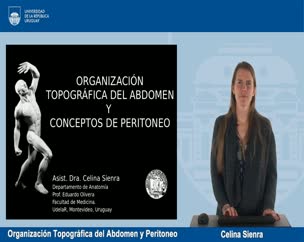 Organización Topográfica de Abdomen y Peritoneo