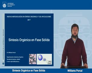 Nuevas metodologias en sintesis organica - SOFS
