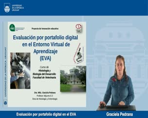 Evaluación por portafolio digital en el EVA