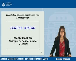 Análisis Global del Concepto de Control Interno de COSO